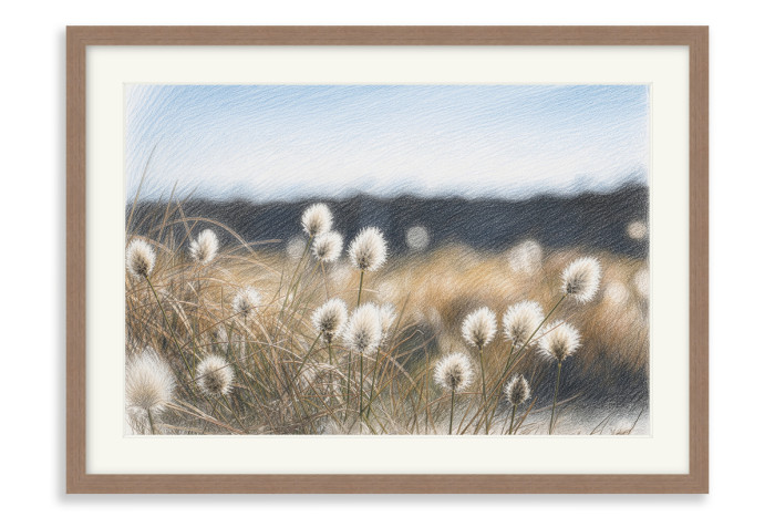Walnut Frame  A4 -  21 x 29.7 cm (+£130.00)